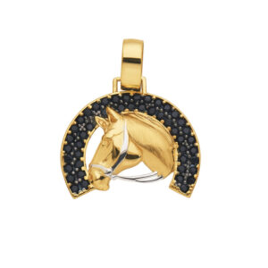 Pingente Ferradura Ouro 18K